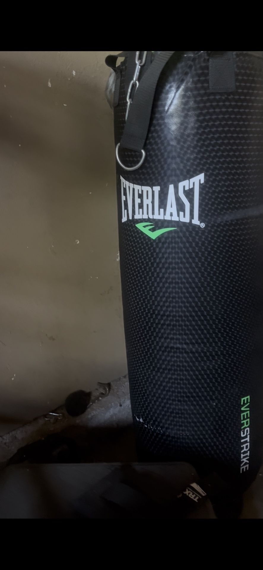 Everlast punching Bag