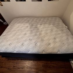QUEEN Perfect Sleeper 12 Inch Plush pillow top Mattress