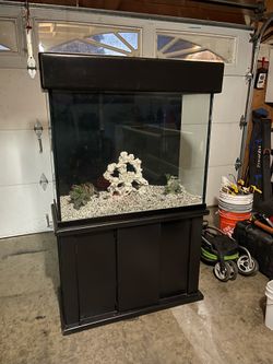 70G Fish Tank