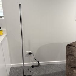 Color Changing LED Floor Lamp