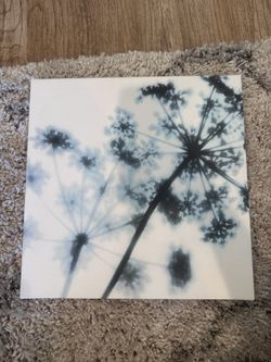 Black And White Artwork