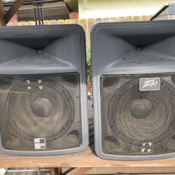 Peavy PR 15 Soundstage Speakers 