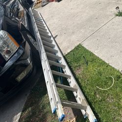 40 Foot Ladder 