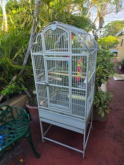 Parrot Cage