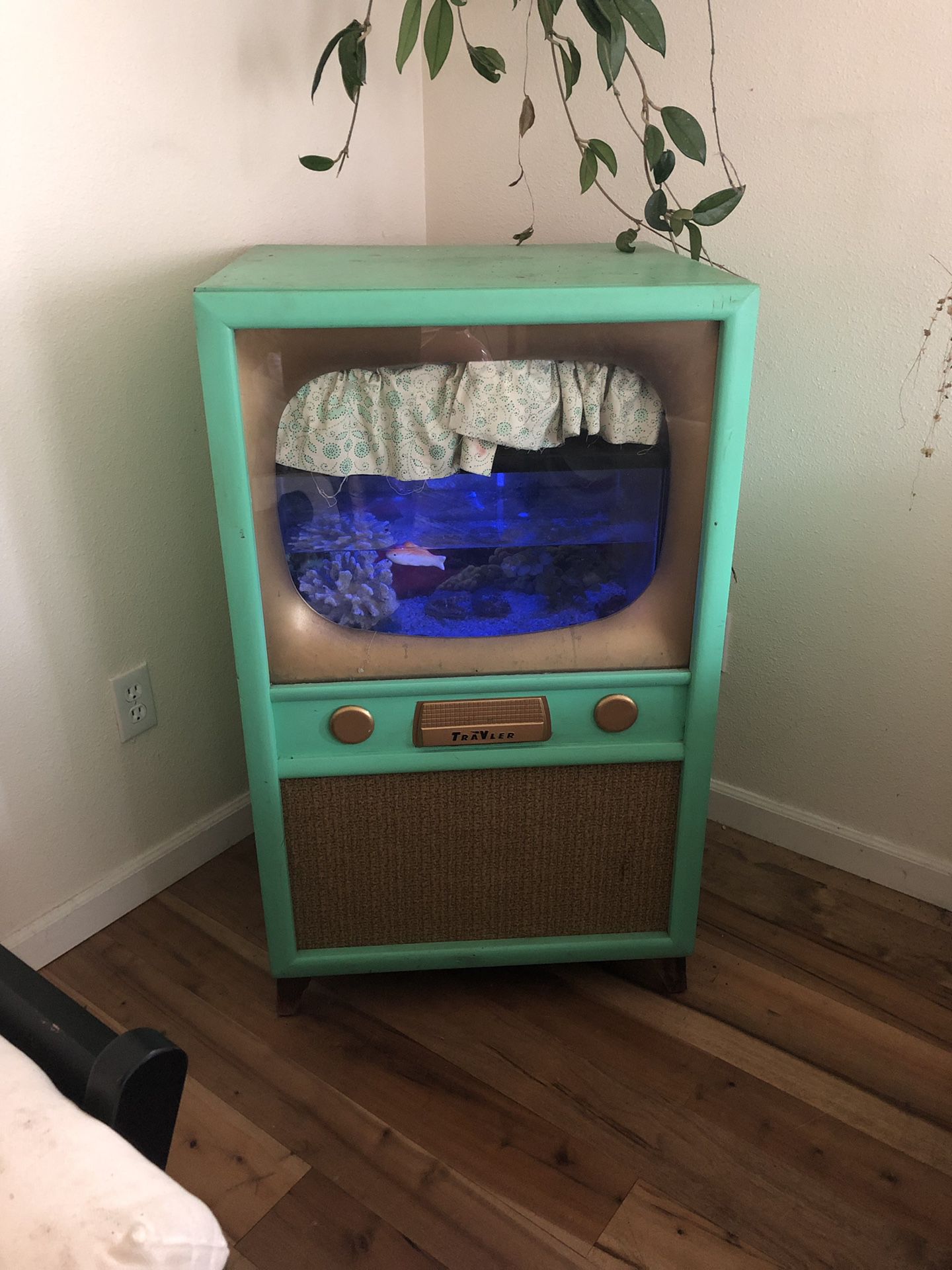 fish tank tv
