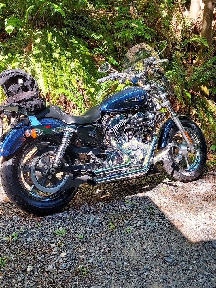 2014 Harley Davidson 1200 Custom 