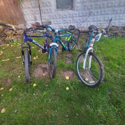 Bike Lot 26 And 24 Inches 