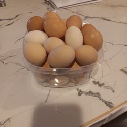 Eggs For Sale