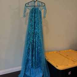 Elsa like dress, very very long train, sequin dress