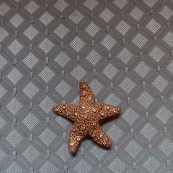 "Swarovski Crystal " Starfish Brooch Pin