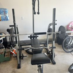 Nautilus Multi-Adjustable Bench, Olympic Bars, Curl Bar And Discs 