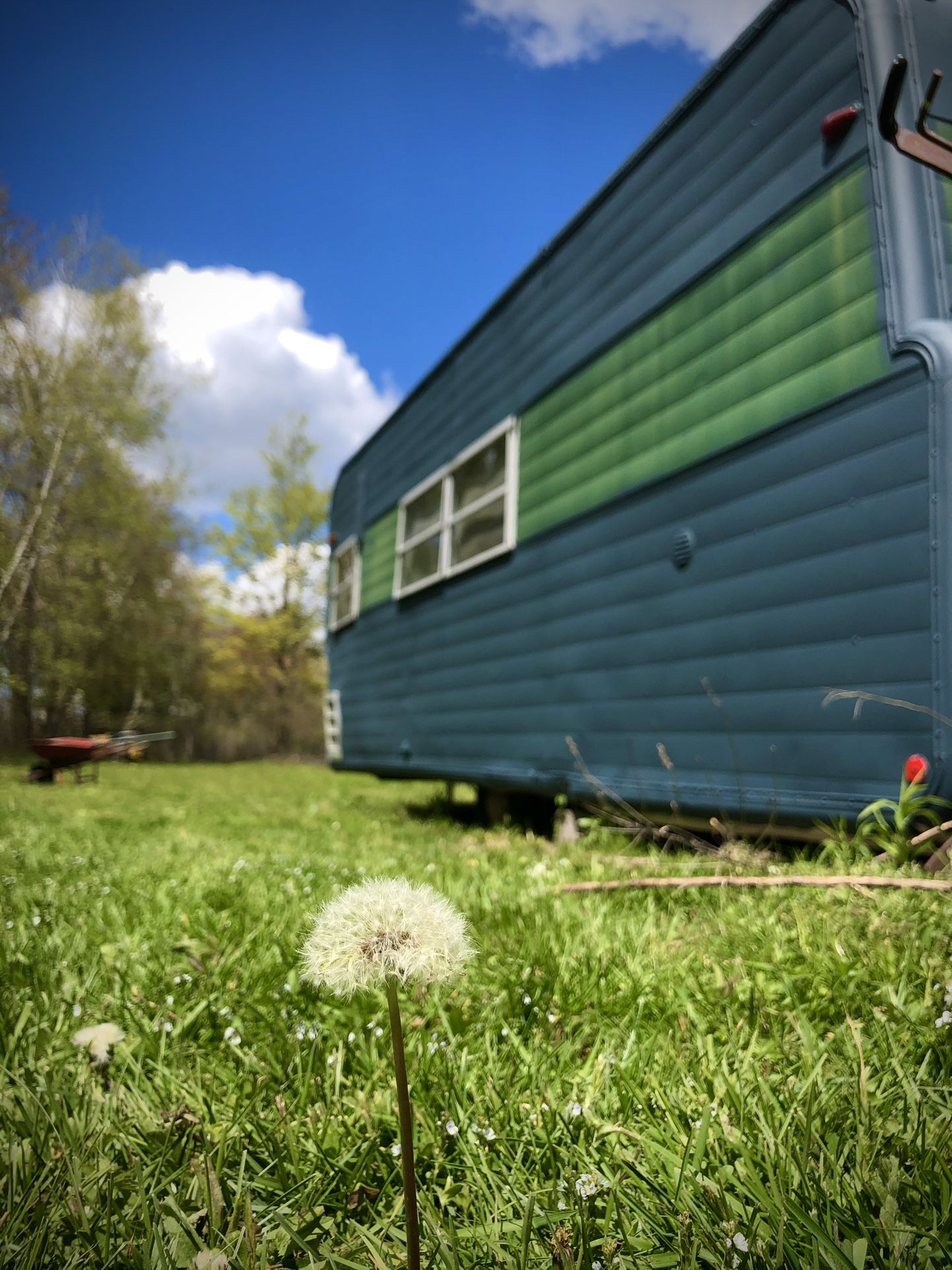 Free Camper