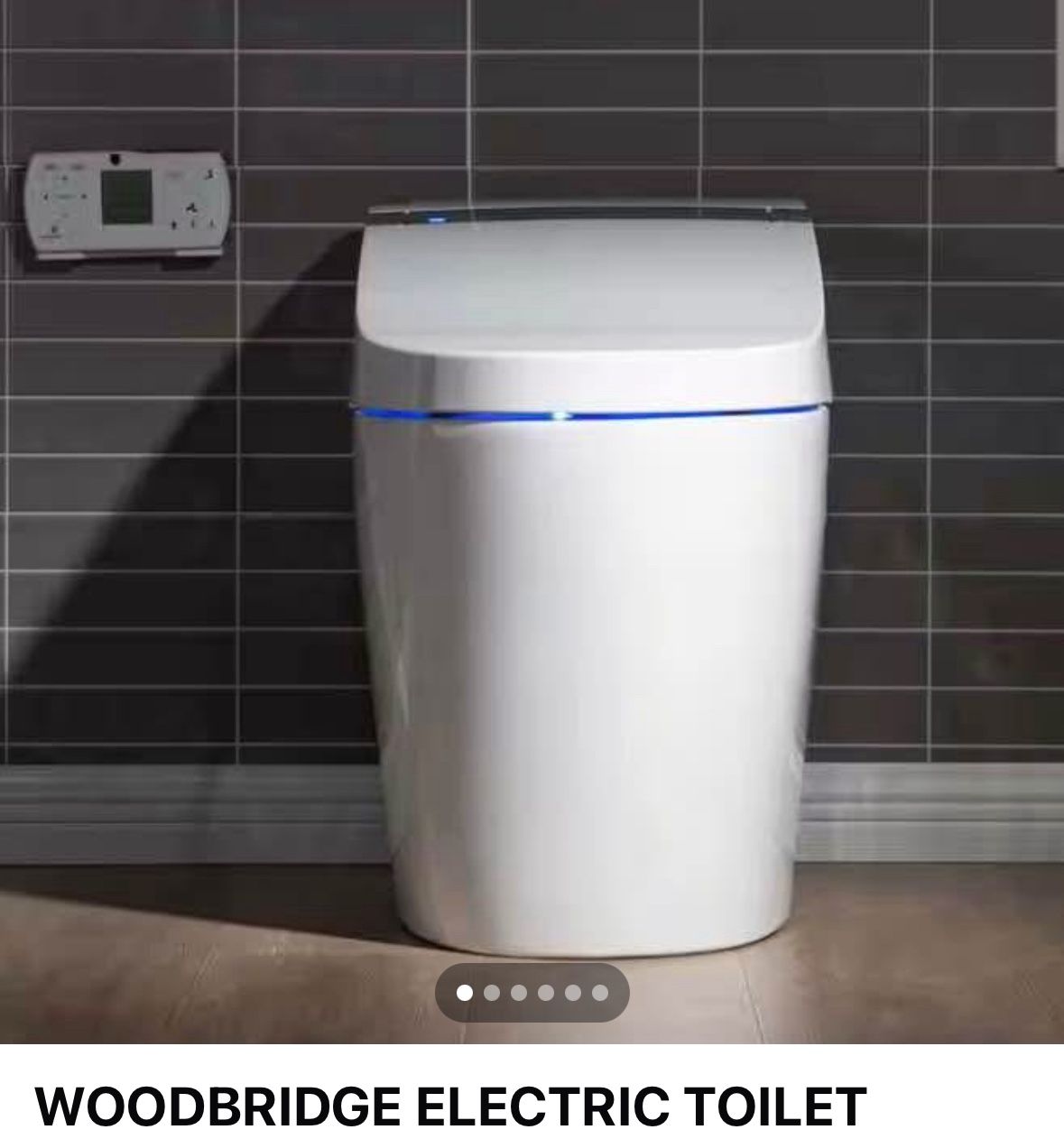 Woodbridge Electric Toilet