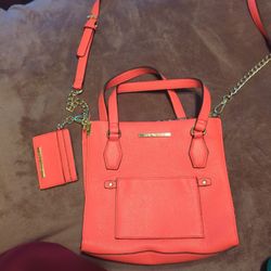Steve Madden Bag