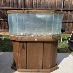 Fish Tank