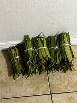 Make your purchase today for plants