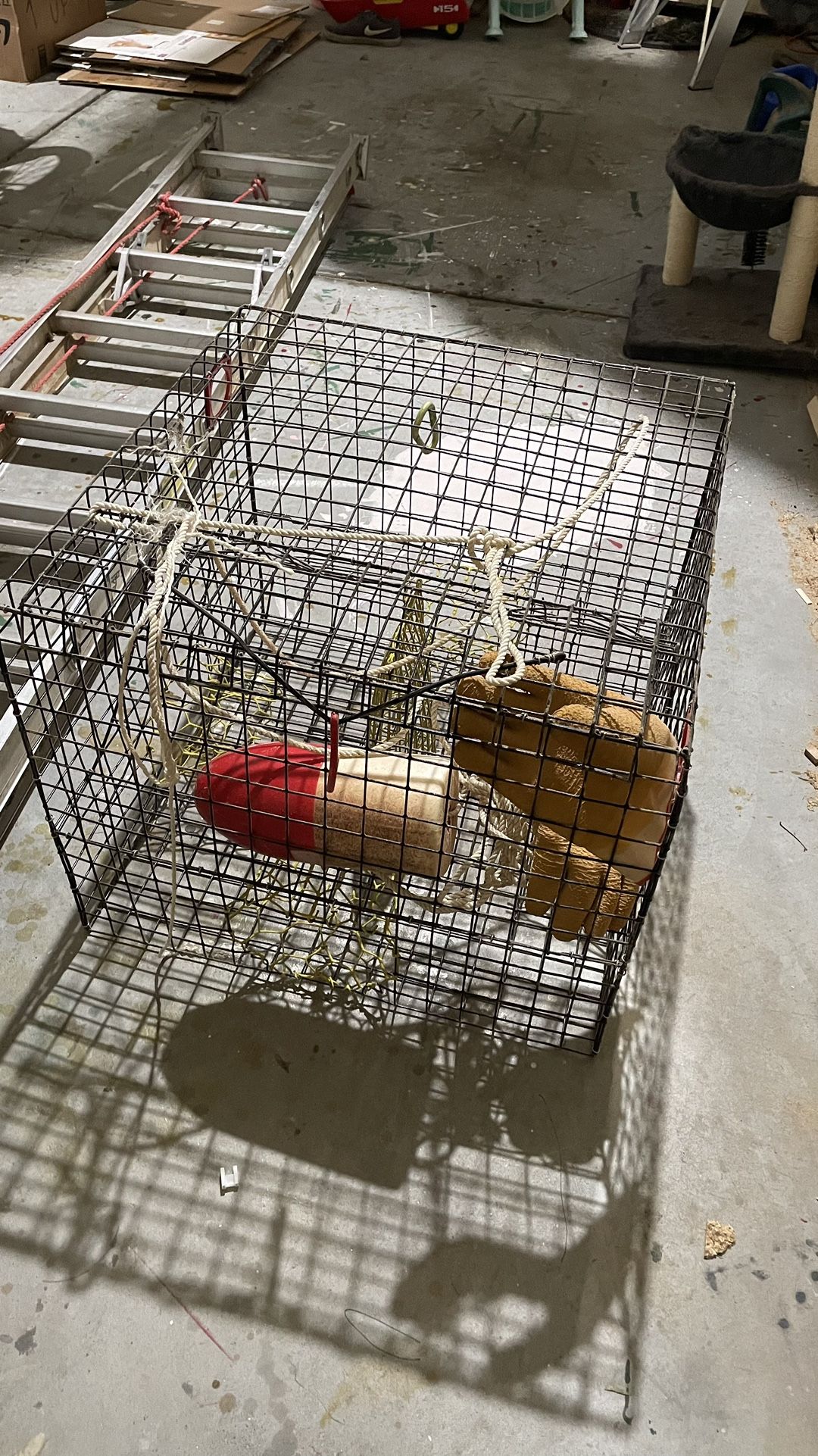 Crab Trap