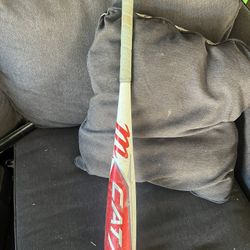 Baseball Bat