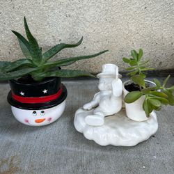 Succulents Both For $ 5.00