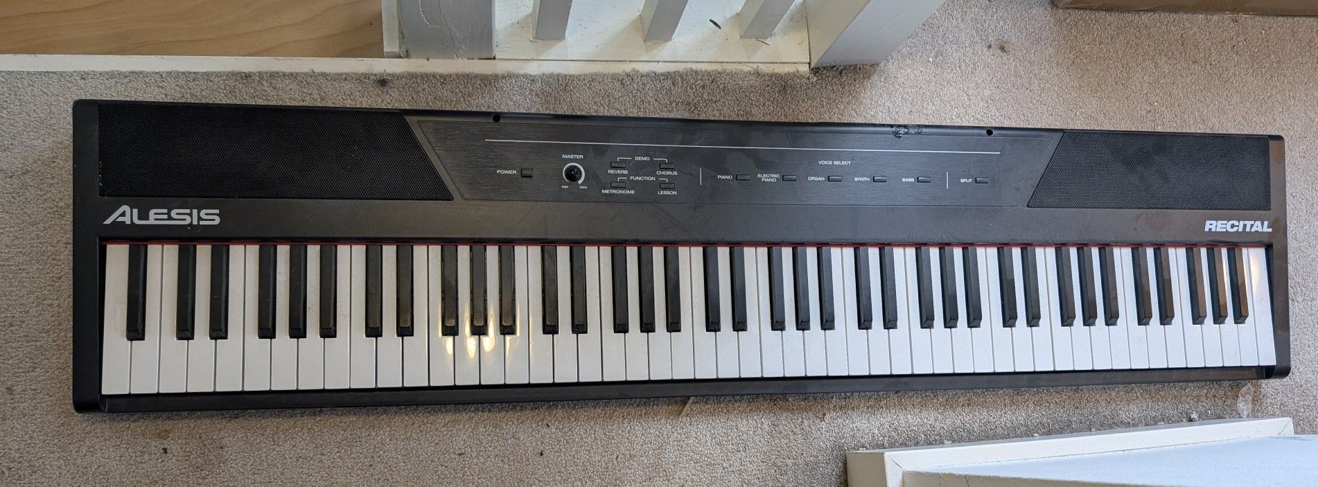 Alesis Recital 88-Key Digital Piano
(with stand)