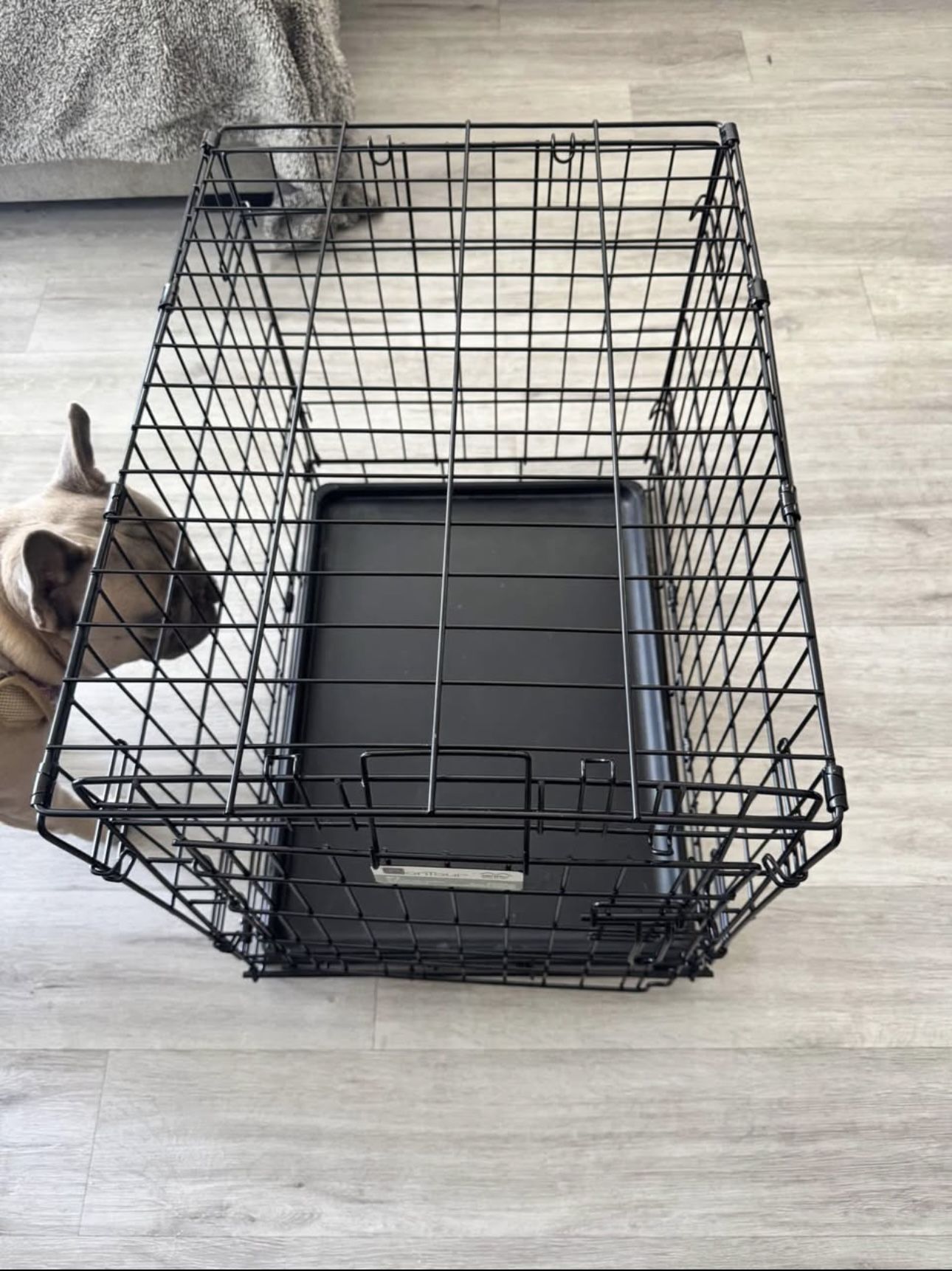 Lightly Used Dog Cage