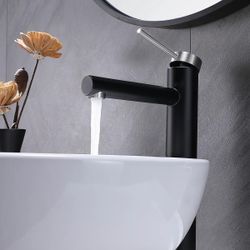 Stainless Steel Vessel Sink Bathroom Faucet F20BN