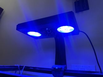 Ecotech Radion XR30 G3 and Mounting bracket