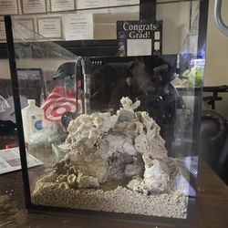 10 Gallon Saltwater Fish Tank For Sale