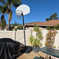 Basketball Hoop (FREE)