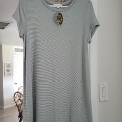 Dress Striped Wasabi+Mint Brand Large NEW