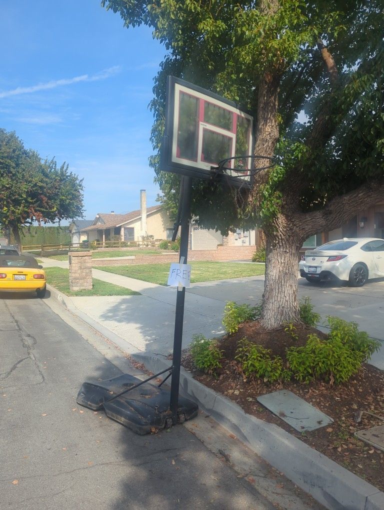 Free Basketball Hoop