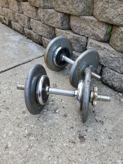 Gym Weights