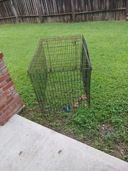 Dog Kennel