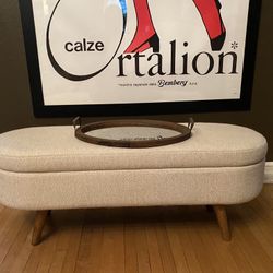 Bench or Coffee Table With Interior Storage 