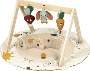 Tiny Love Gardens of Adventure, Luxe Developmental Gymi  TINY LOVE’S DEVELOPMENTAL SYSTEM With a focus on 6 essential skills—emotions, creativity, mot