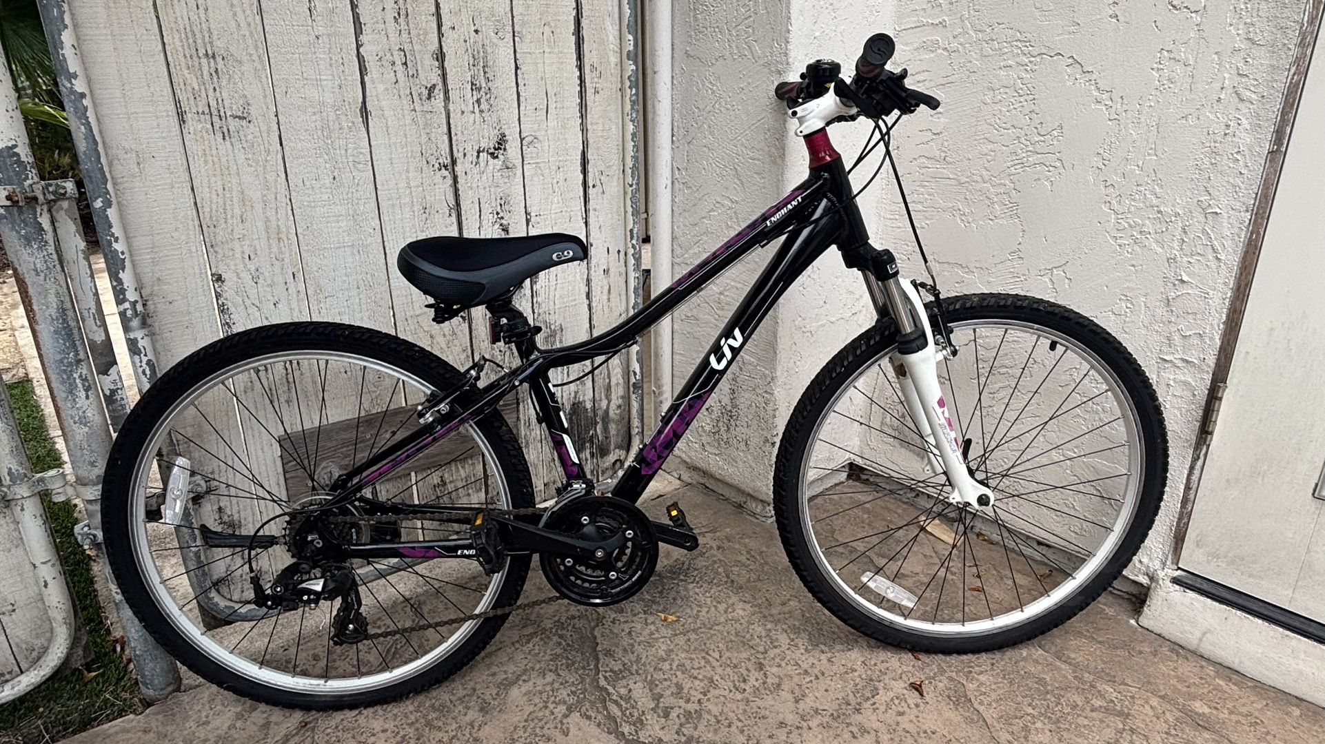 24” Bicycle