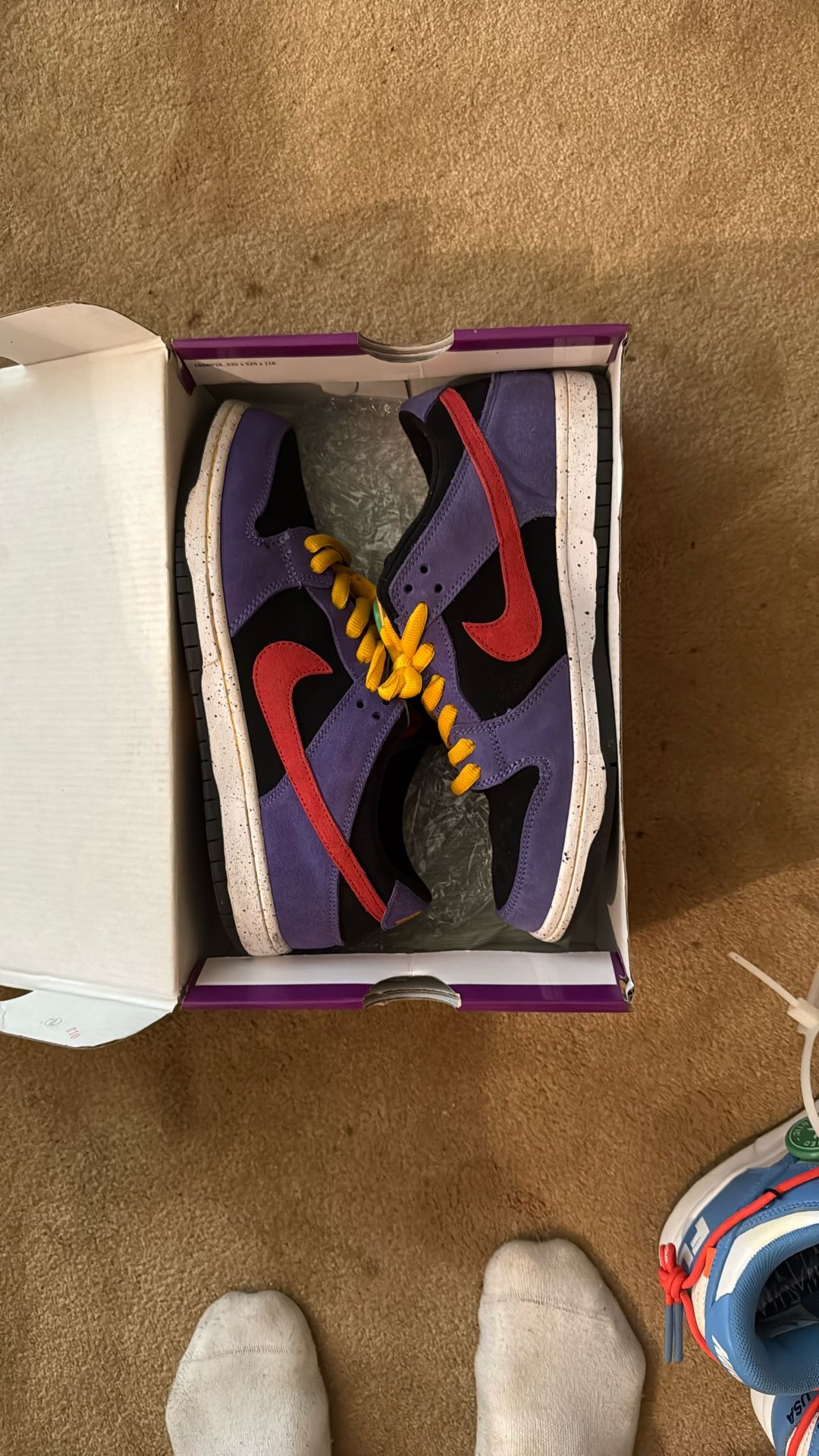 Nike Sb Dunk