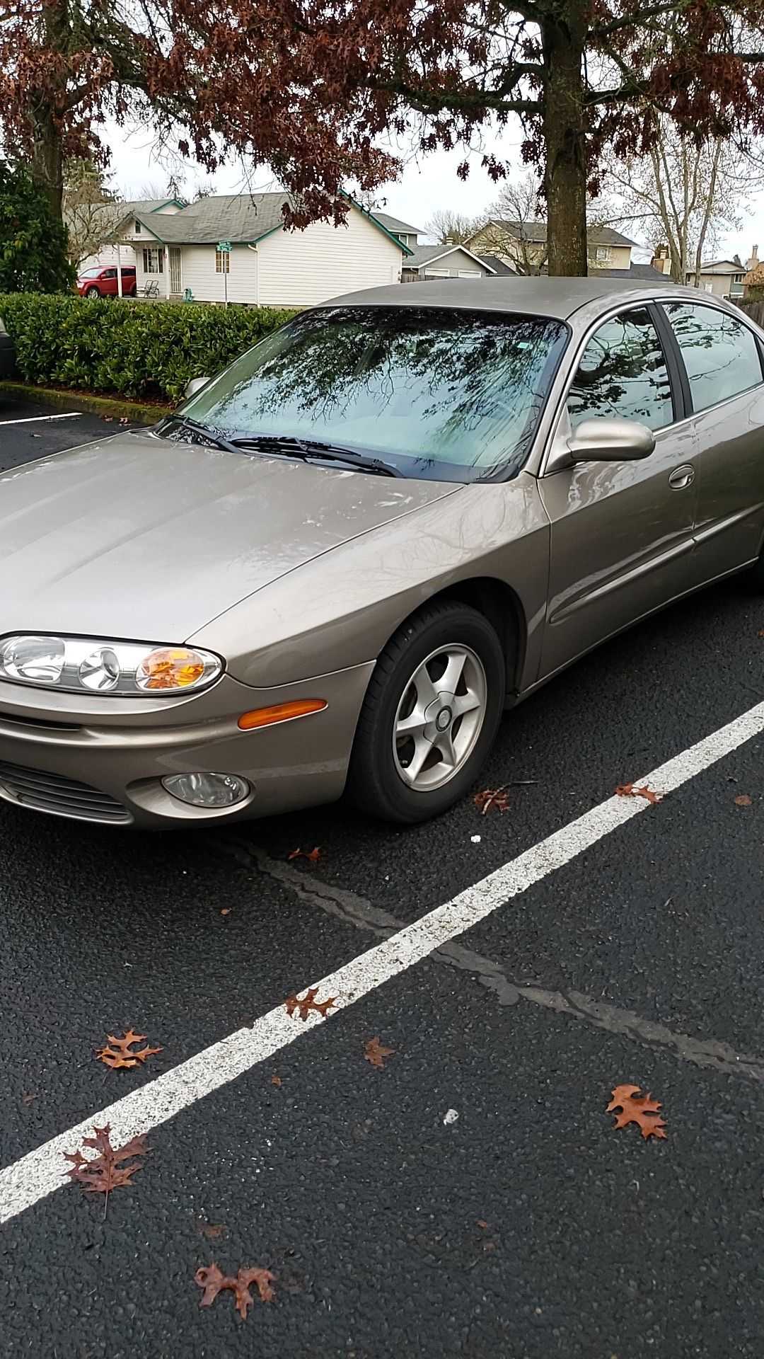 Aurora 3.5 olds
