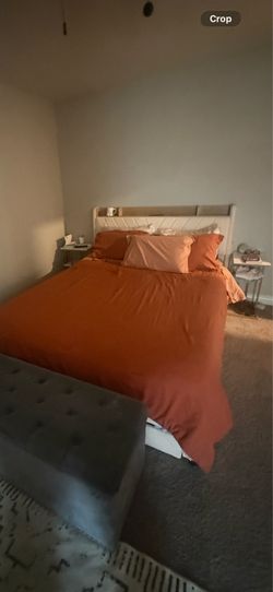 Queen Bed and Mattress