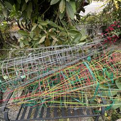 Tomato Cages