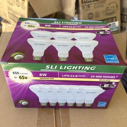 Br30 65w Light Bulbs.  