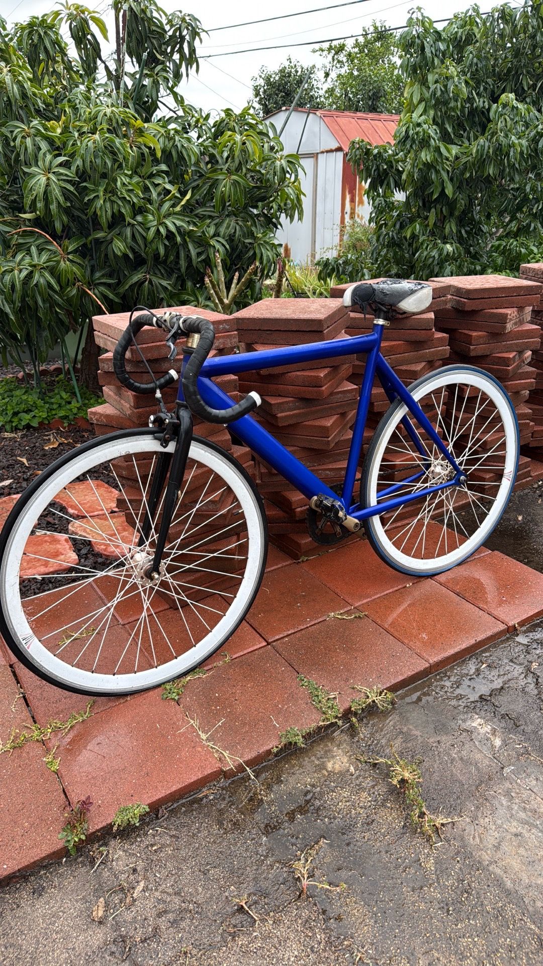 Custom Fixed Gear / Single Speed Bike – White Wheels – Blue Frame