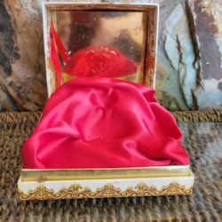 Empty Box With Red Satin Interior 