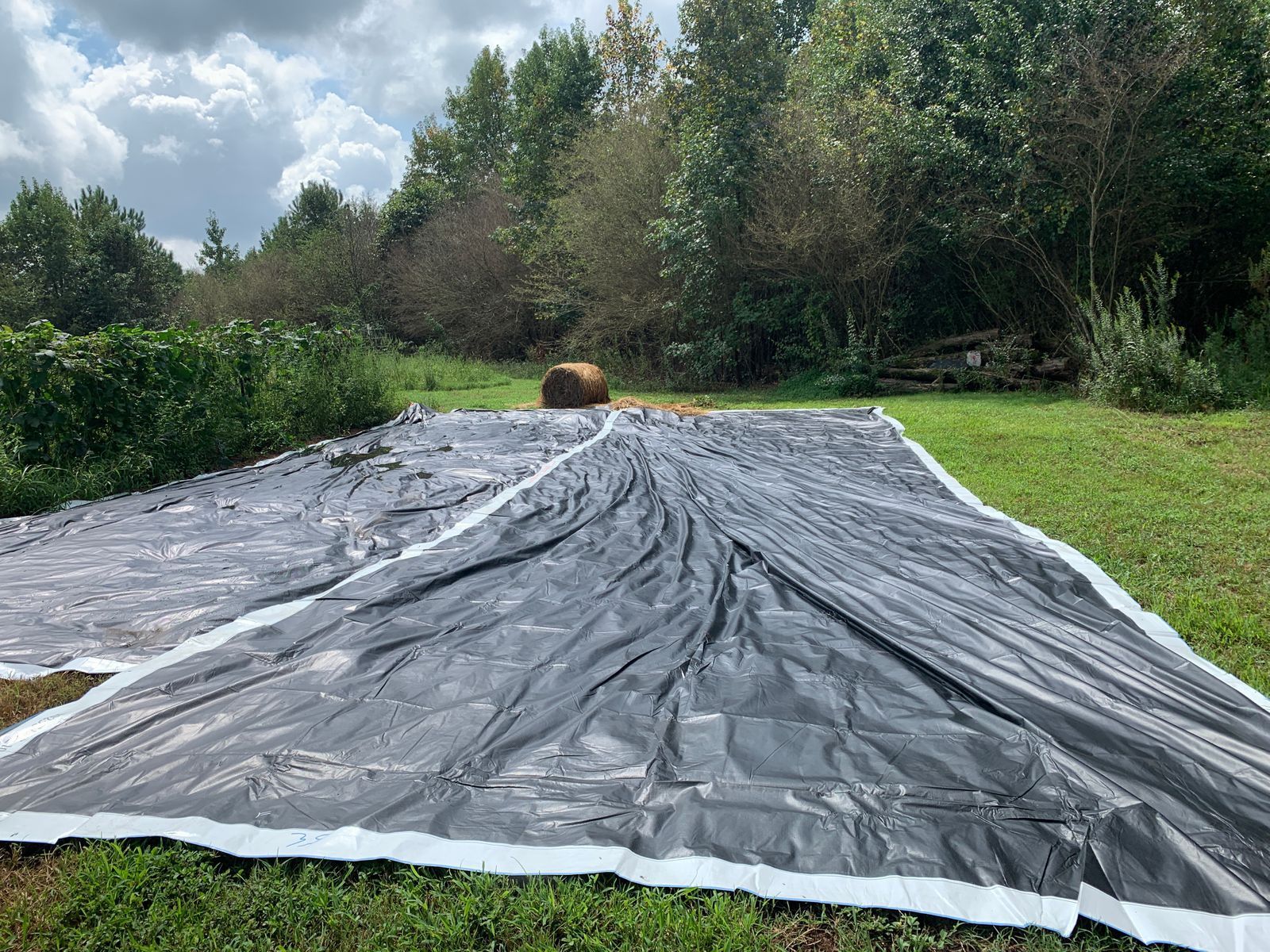 Billboard Tarps for Sale in Phoenix, AZ OfferUp