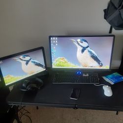 Budget PC Gaming Dual Monitor Setup
