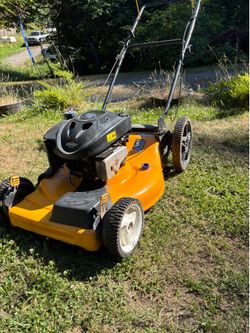 Poulman Pro 21 inch deck, Briggs & Stratton lawnmower
