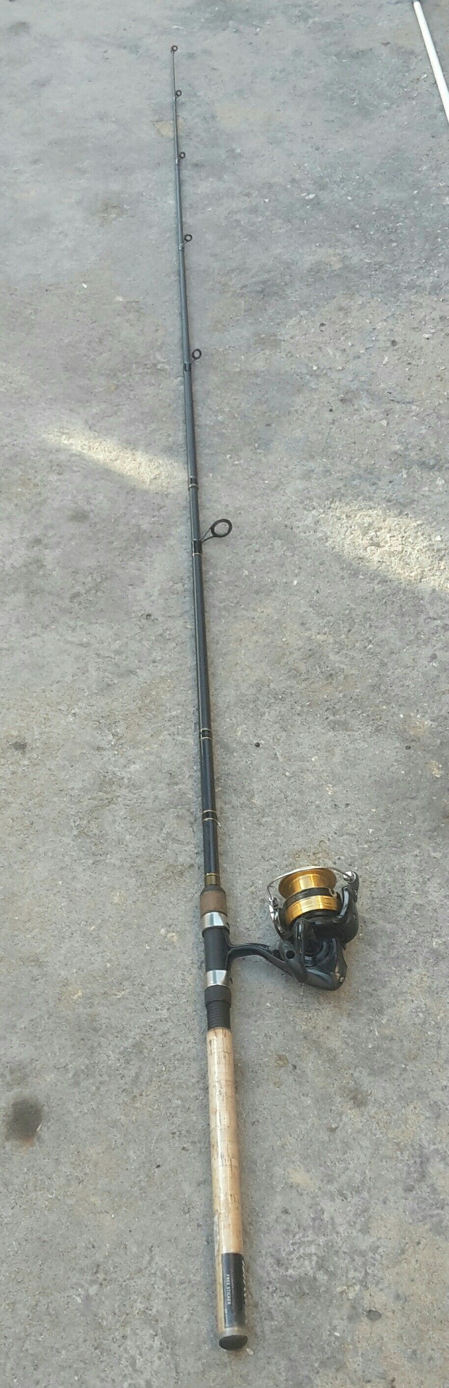 Fishing rod and spinning reel