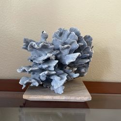 Blue Coral Decoration