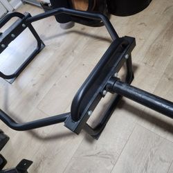 Olympic Trap, Shrug, Deadlift, Hex Bar