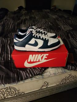 Size 11 Valerian Blue Dunks
